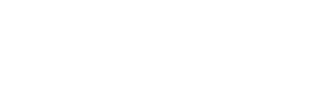 Google Partner