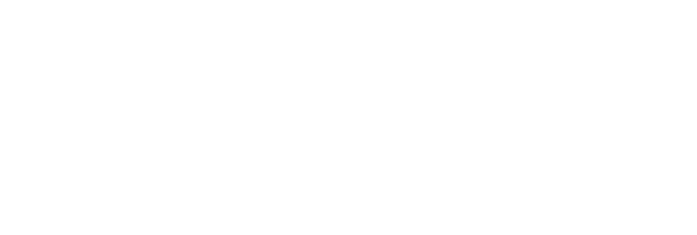 Lenovo Partner